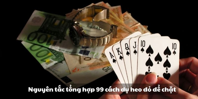 Mẹo đánh rồng hổ - Hướng dẫn từ A đến Z để thành công 9 Nguyên tắc tổng hợp 99 cách dụ heo đỏ để chặt